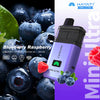 Blueberry Raspberry