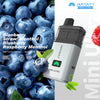 Blueberry Straw' Menthol | Blueberry Raspberry Menthol