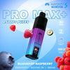 Blueberry Cherry Cranberry