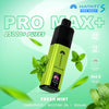 Fresh Mint