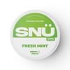 Fresh Mint / 12mg